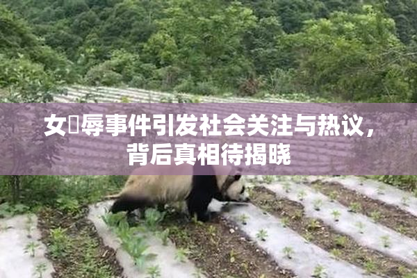 女婬辱事件引发社会关注与热议，背后真相待揭晓