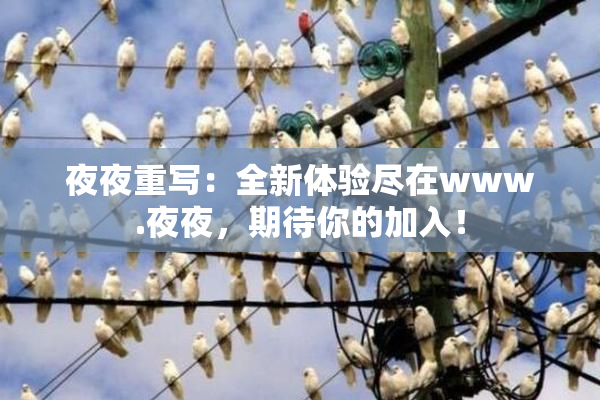 夜夜重写：全新体验尽在www.夜夜，期待你的加入！