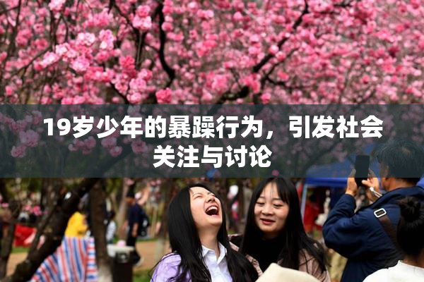 19岁少年的暴躁行为，引发社会关注与讨论