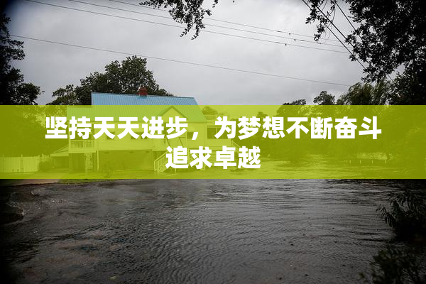 坚持天天进步，为梦想不断奋斗追求卓越