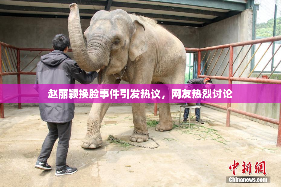 赵丽颖换脸事件引发热议，网友热烈讨论