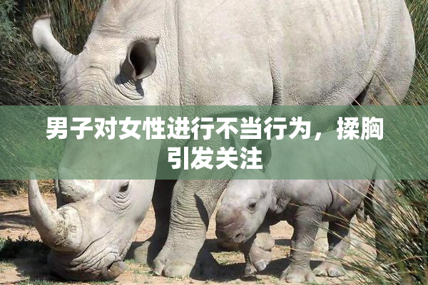 男子对女性进行不当行为，揉胸引发关注