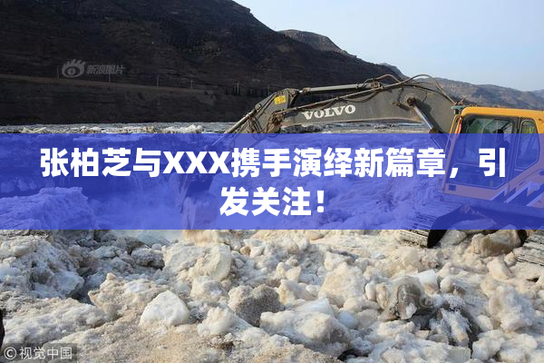 张柏芝与XXX携手演绎新篇章，引发关注！