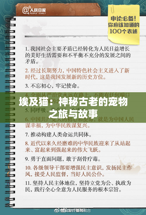 埃及猫：神秘古老的宠物之旅与故事