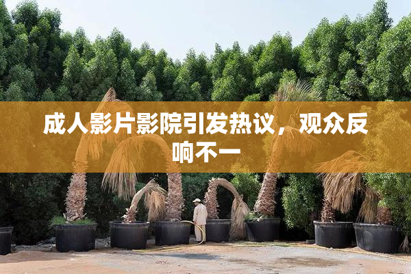 成人影片影院引发热议，观众反响不一
