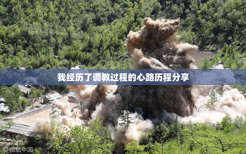 我经历了调教过程的心路历程分享