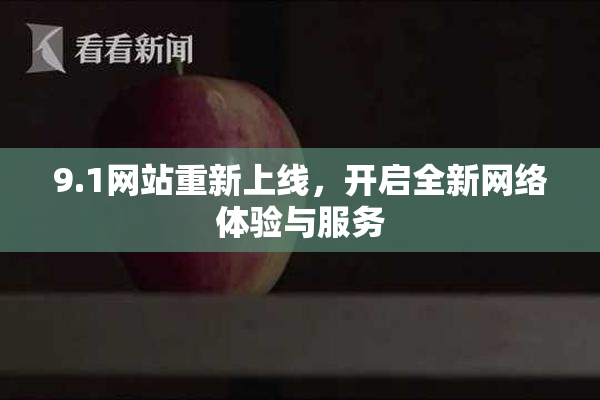 9.1网站重新上线，开启全新网络体验与服务