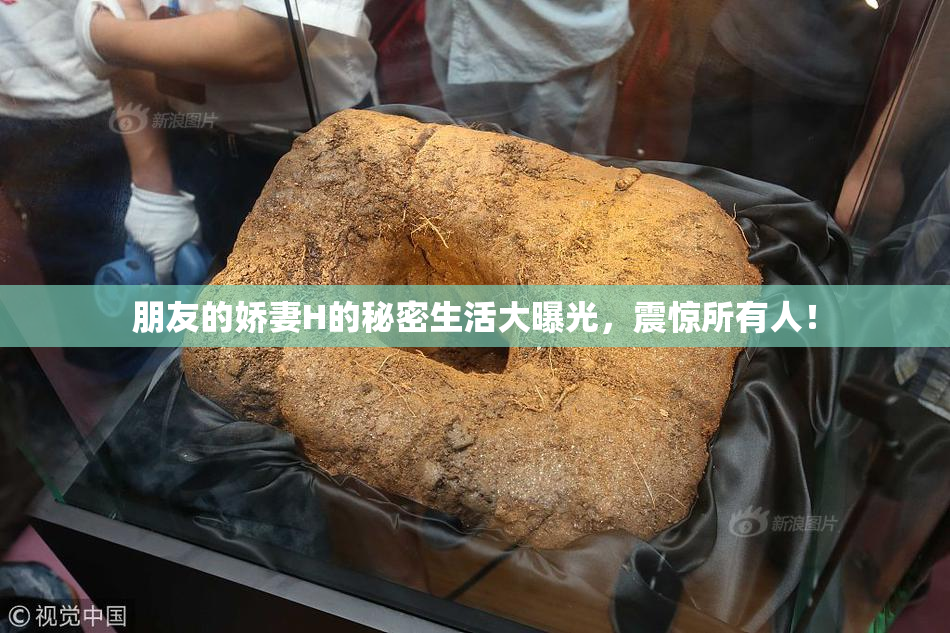 朋友的娇妻H的秘密生活大曝光，震惊所有人！