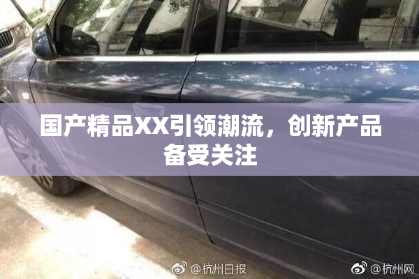 国产精品XX引领潮流，创新产品备受关注