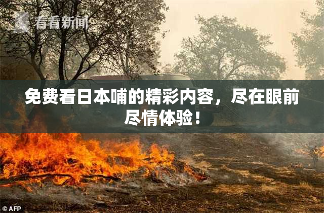 免费看日本哺的精彩内容，尽在眼前尽情体验！