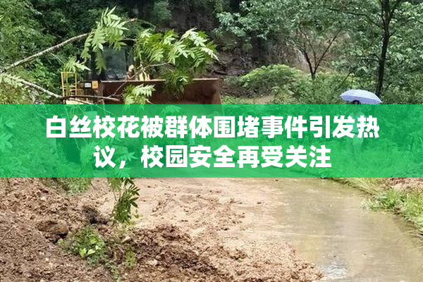 白丝校花被群体围堵事件引发热议，校园安全再受关注
