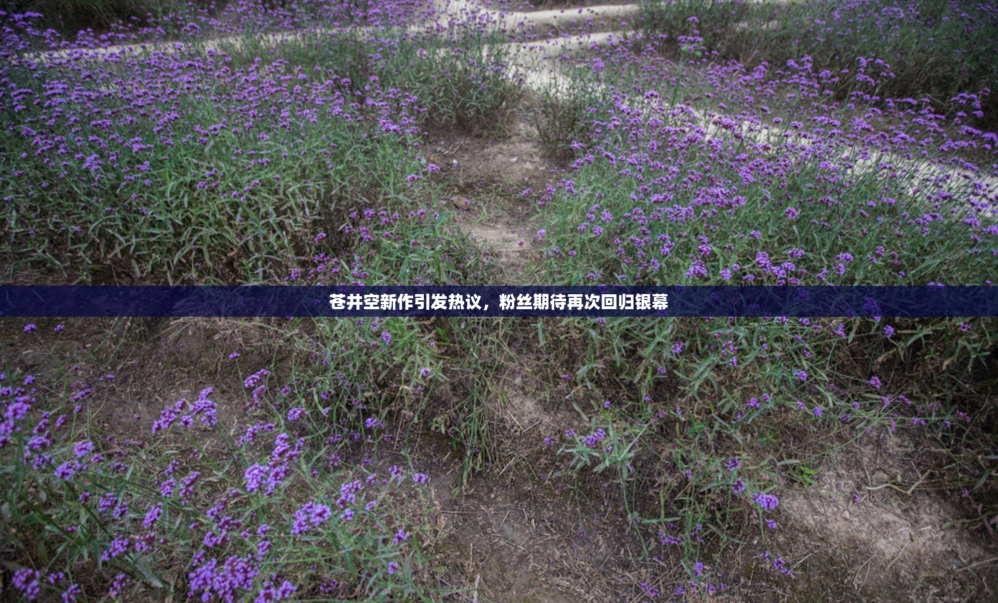 苍井空新作引发热议，粉丝期待再次回归银幕