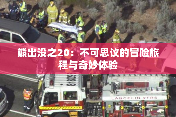 熊出没之20：不可思议的冒险旅程与奇妙体验