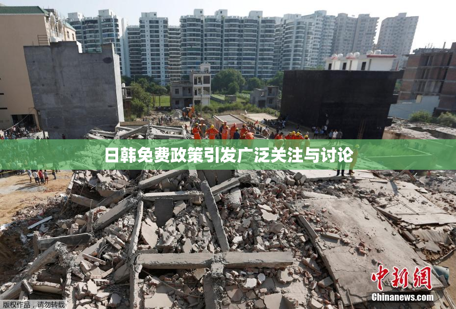 日韩免费政策引发广泛关注与讨论