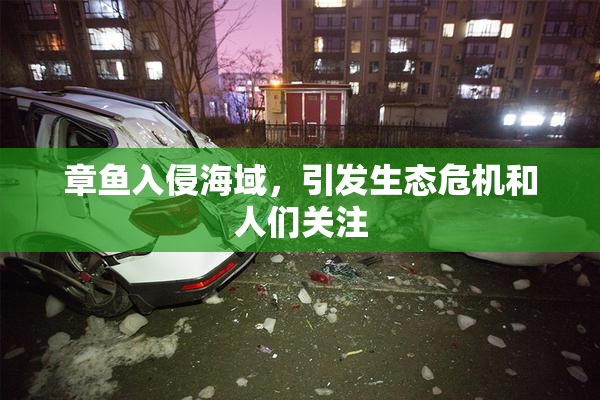 章鱼入侵海域，引发生态危机和人们关注