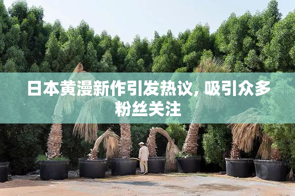 日本黄漫新作引发热议, 吸引众多粉丝关注