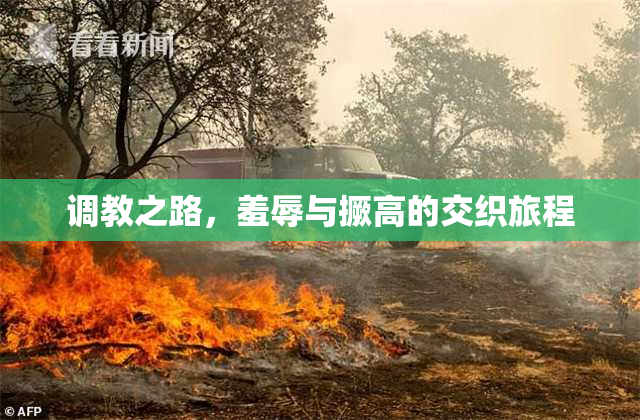 调教之路，羞辱与撅高的交织旅程