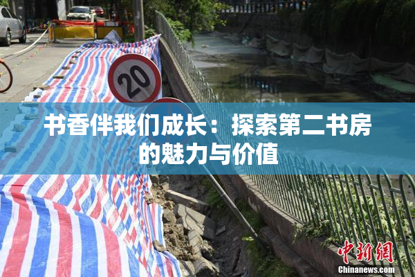 书香伴我们成长：探索第二书房的魅力与价值