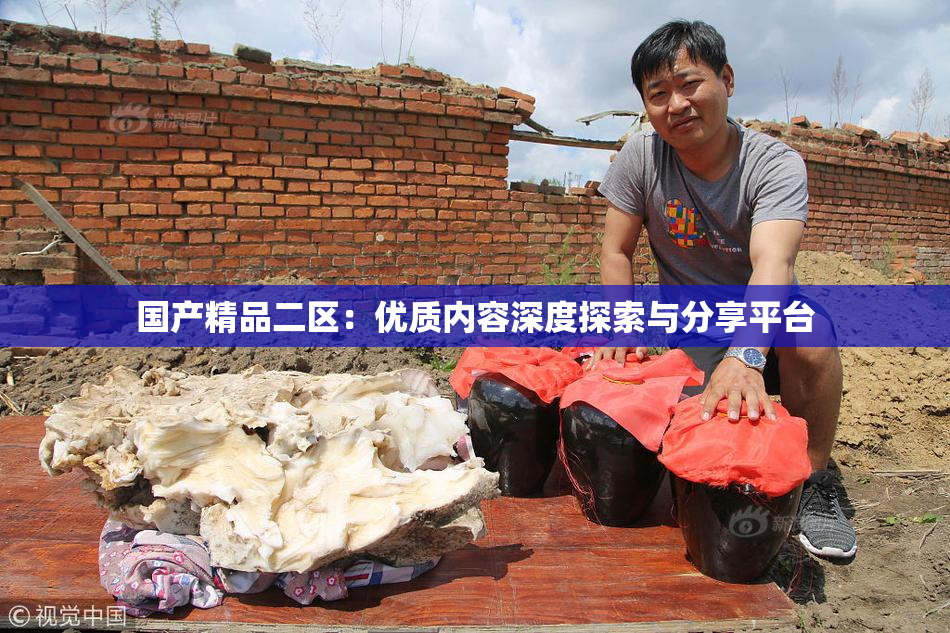 国产精品二区：优质内容深度探索与分享平台