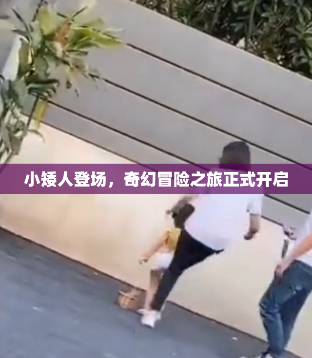 小矮人登场，奇幻冒险之旅正式开启