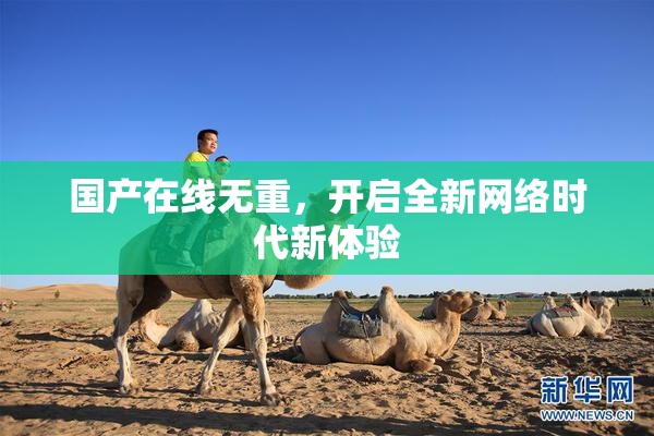 国产在线无重，开启全新网络时代新体验
