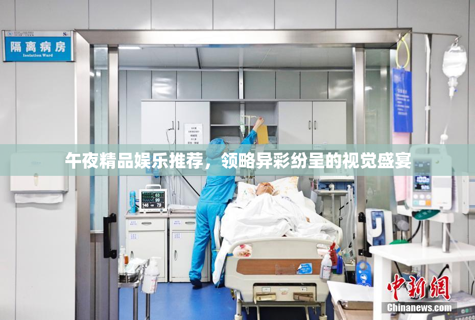 午夜精品娱乐推荐，领略异彩纷呈的视觉盛宴