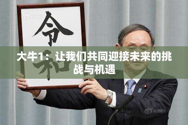 大牛1：让我们共同迎接未来的挑战与机遇