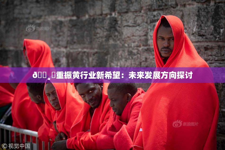 🌸‌重振黄行业新希望：未来发展方向探讨