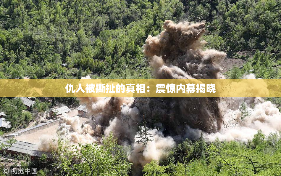 仇人被撕扯的真相：震惊内幕揭晓