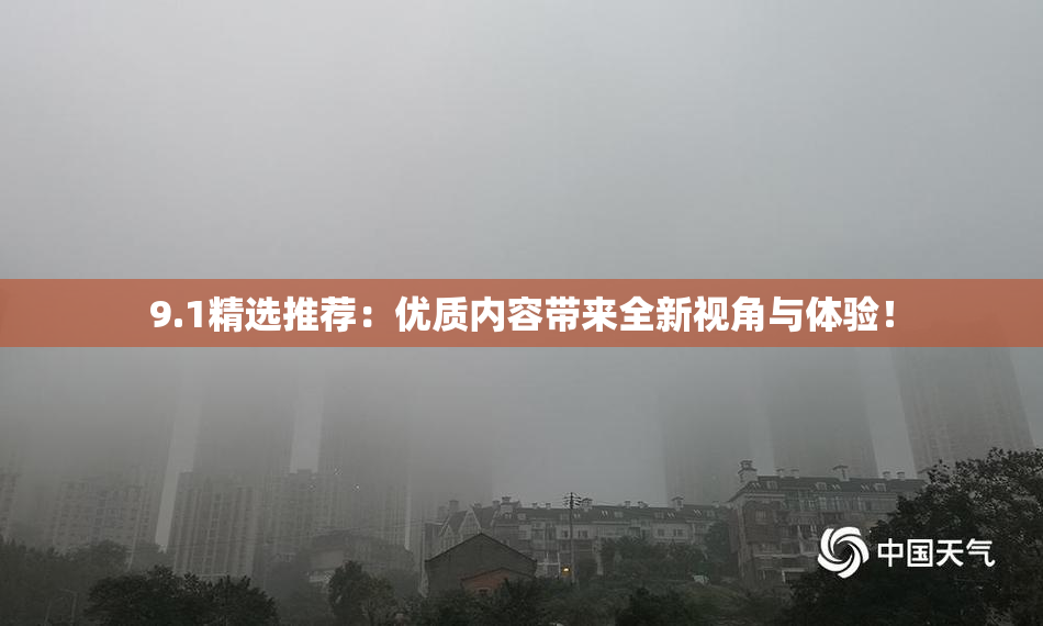 9.1精选推荐：优质内容带来全新视角与体验！