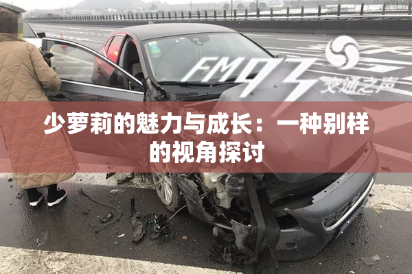 少萝莉的魅力与成长：一种别样的视角探讨