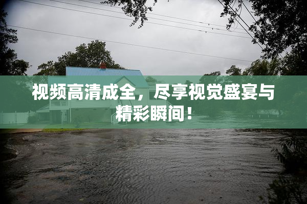 视频高清成全，尽享视觉盛宴与精彩瞬间！