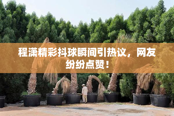 程潇精彩抖球瞬间引热议，网友纷纷点赞！