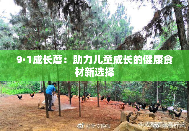9·1成长蘑：助力儿童成长的健康食材新选择