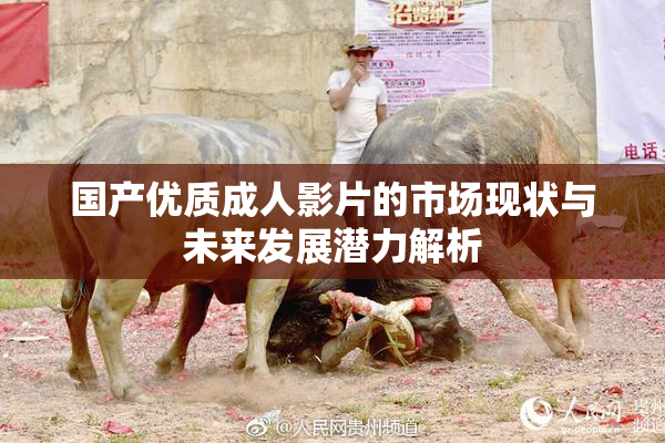 国产优质成人影片的市场现状与未来发展潜力解析