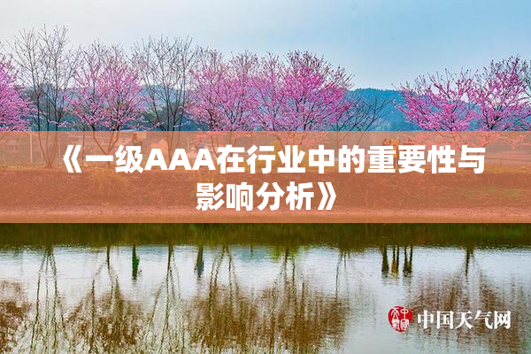 《一级AAA在行业中的重要性与影响分析》