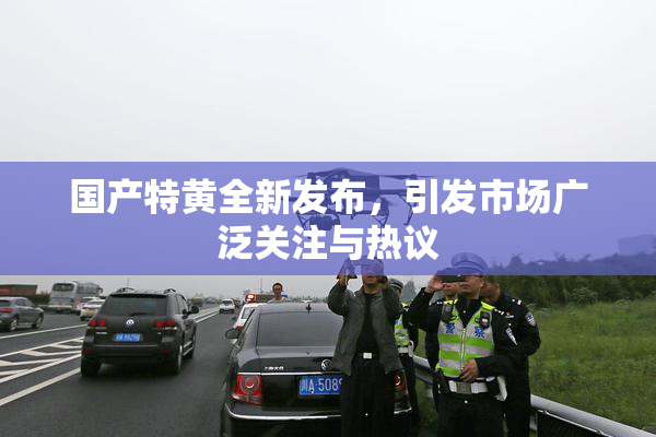 国产特黄全新发布，引发市场广泛关注与热议
