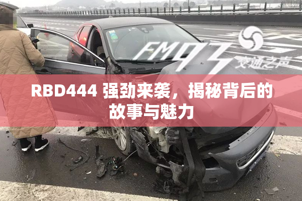 RBD444 强劲来袭，揭秘背后的故事与魅力