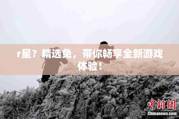 r星？精选免，带你畅享全新游戏体验！