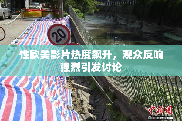 性欧美影片热度飙升，观众反响强烈引发讨论