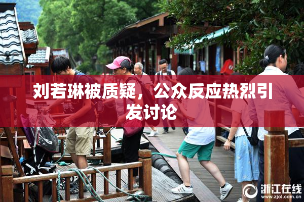 刘若琳被质疑，公众反应热烈引发讨论