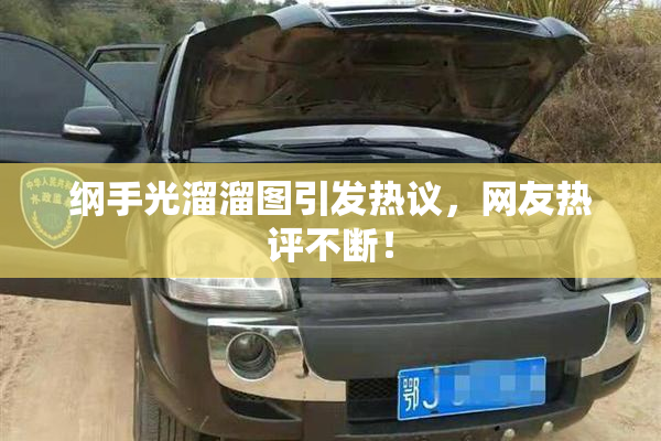 纲手光溜溜图引发热议，网友热评不断！