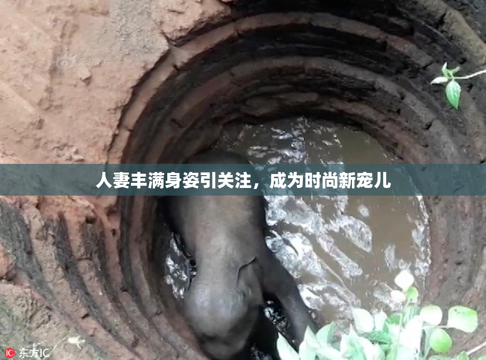 人妻丰满身姿引关注，成为时尚新宠儿