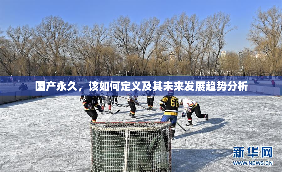 国产永久，该如何定义及其未来发展趋势分析