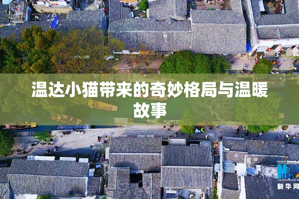 温达小猫带来的奇妙格局与温暖故事