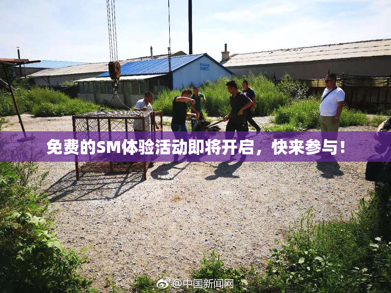 免费的SM体验活动即将开启，快来参与！