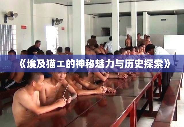 《埃及猫エ的神秘魅力与历史探索》