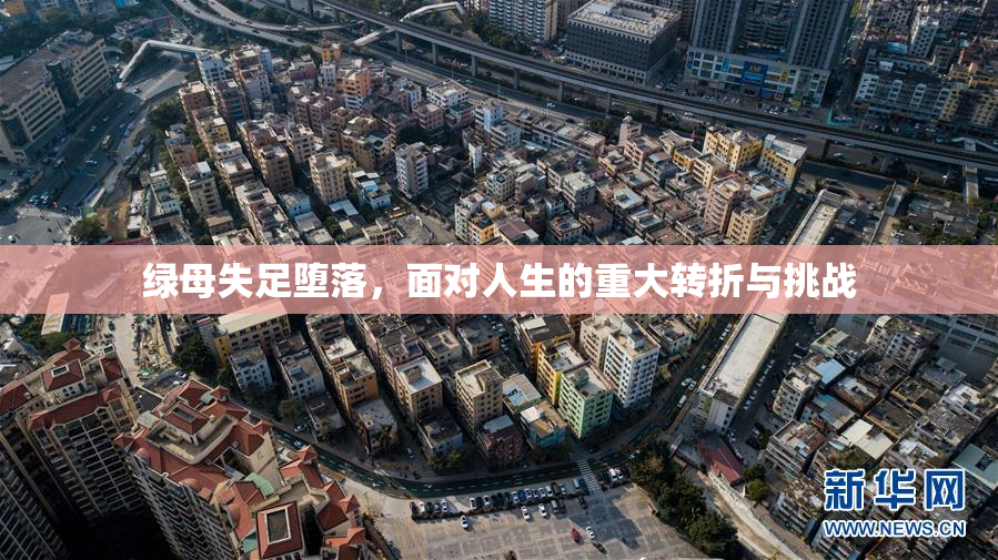 绿母失足堕落，面对人生的重大转折与挑战
