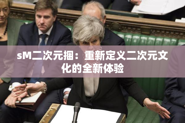 sM二次元捆：重新定义二次元文化的全新体验
