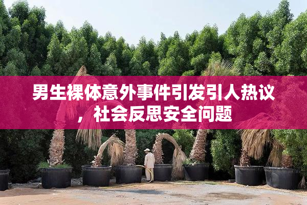 男生裸体意外事件引发引人热议，社会反思安全问题